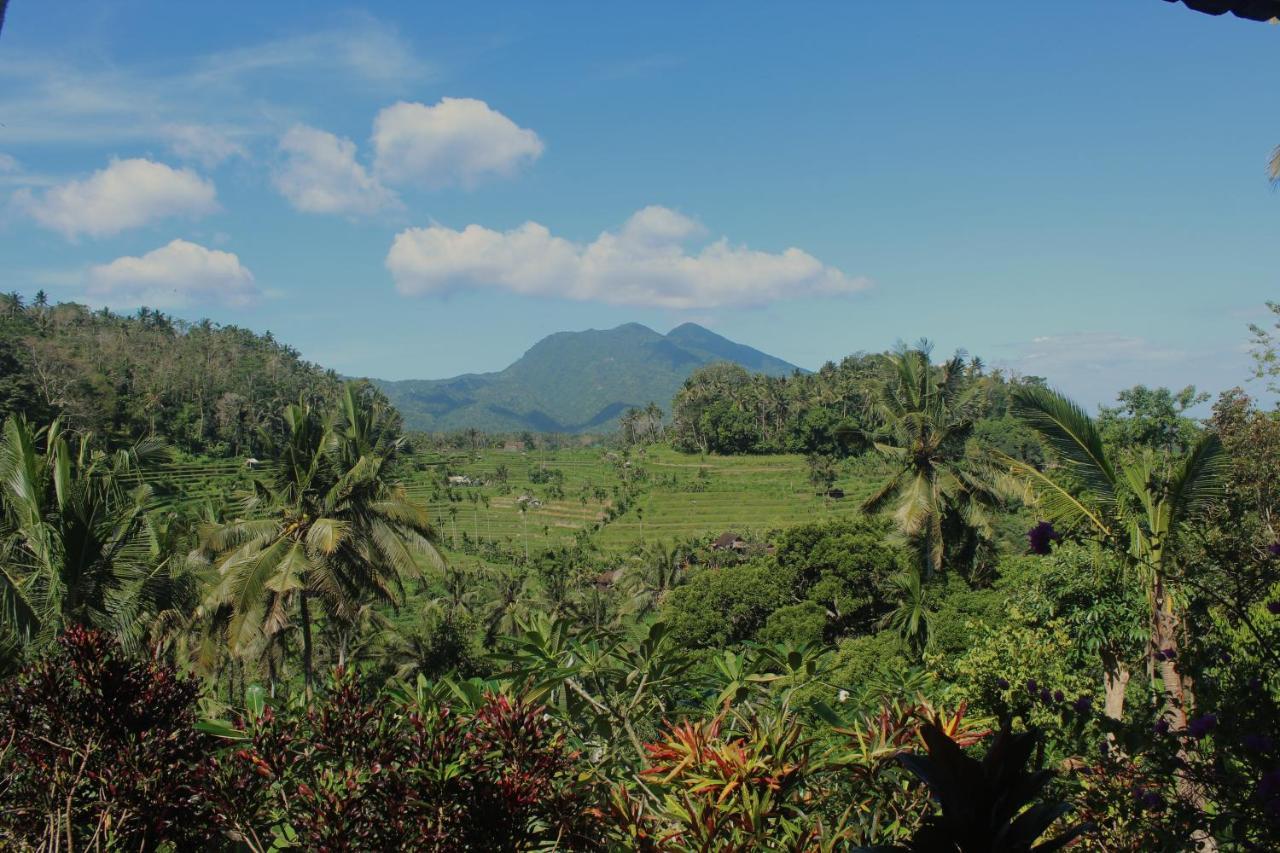 Pondok Lembah Dukuh Homestay Karangasem Kültér fotó